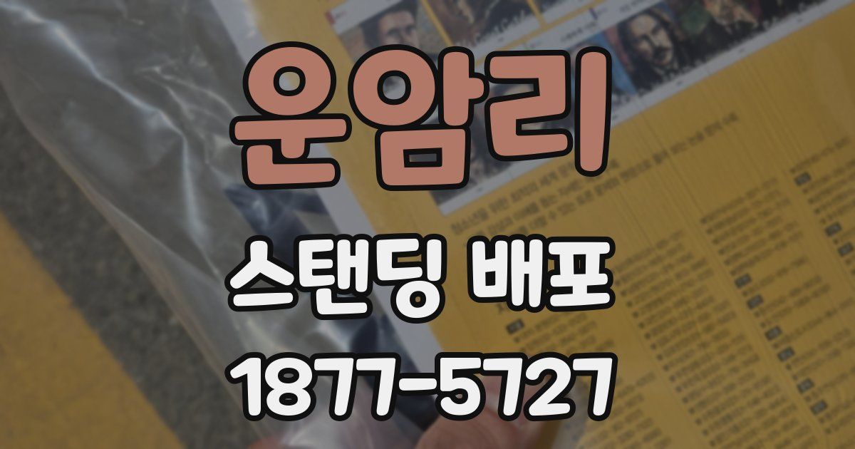 운암리 스탠딩 배포