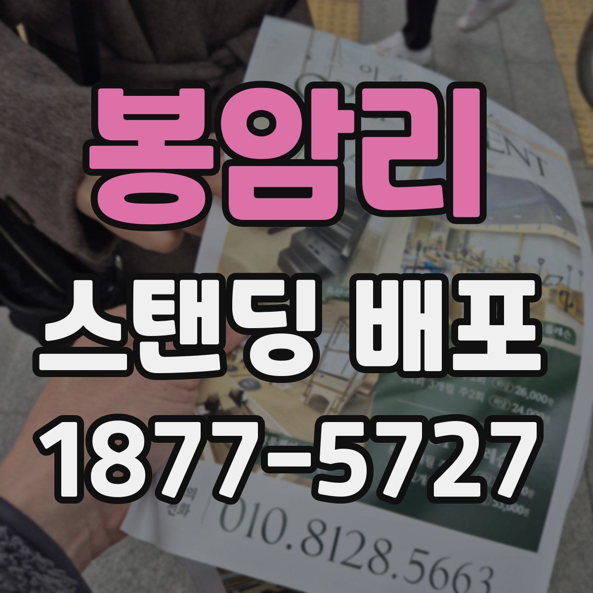 봉암리 스탠딩 배포