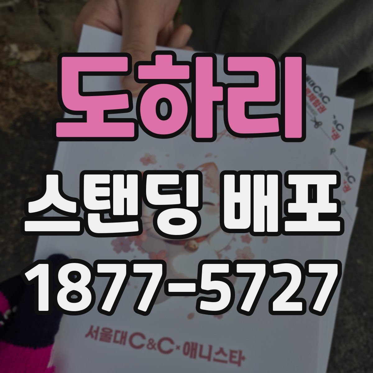 도하리 스탠딩 배포