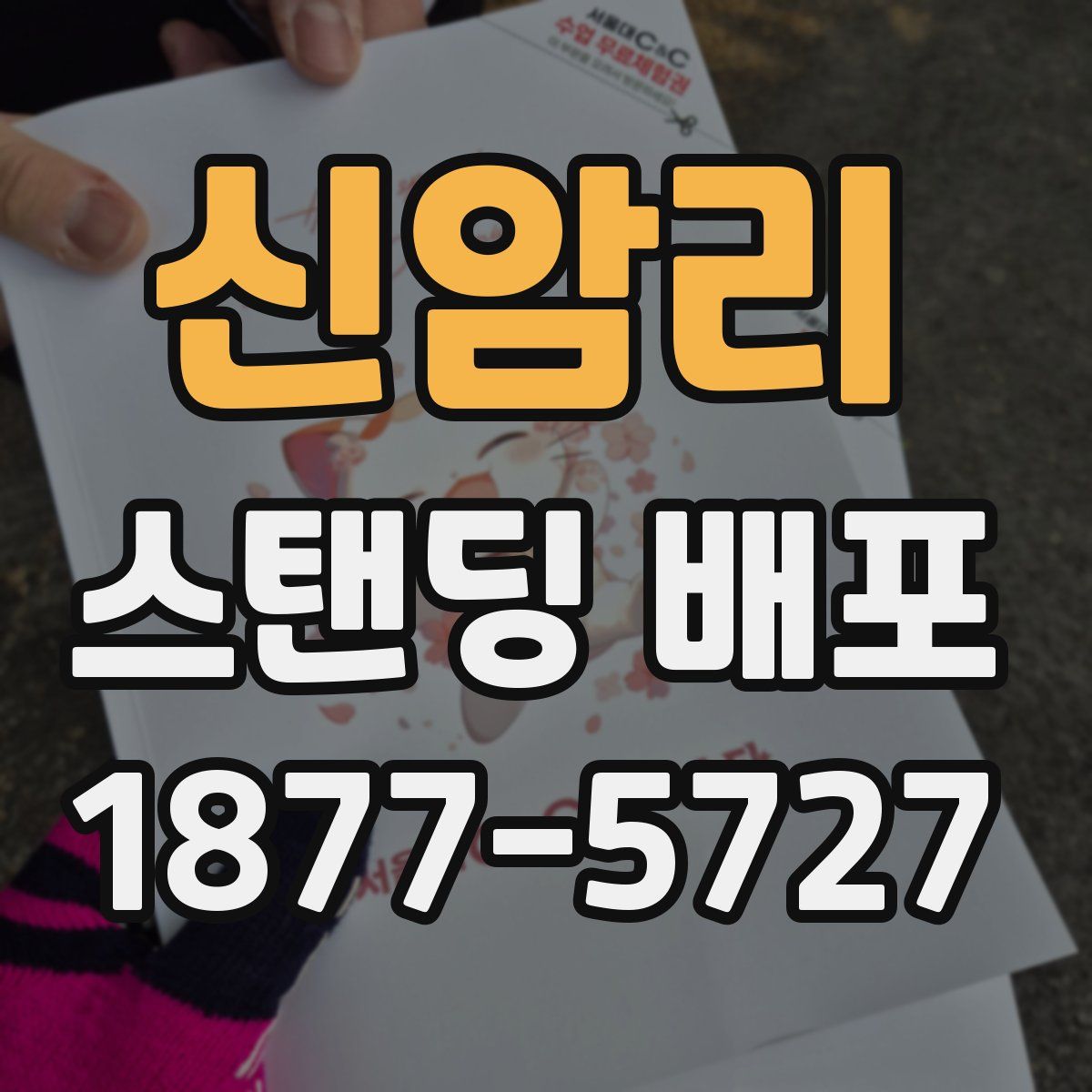 신암리 스탠딩 배포
