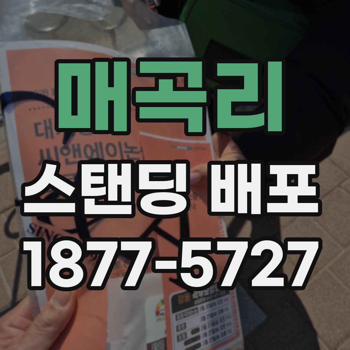 매곡리 스탠딩 배포