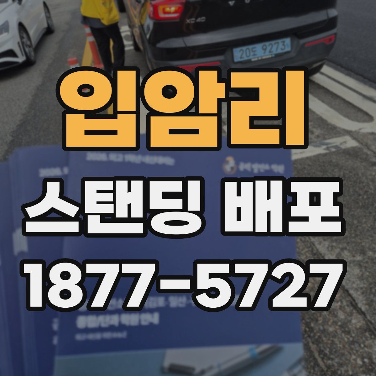 입암리 스탠딩 배포