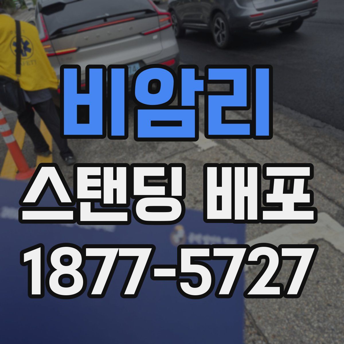 비암리 스탠딩 배포