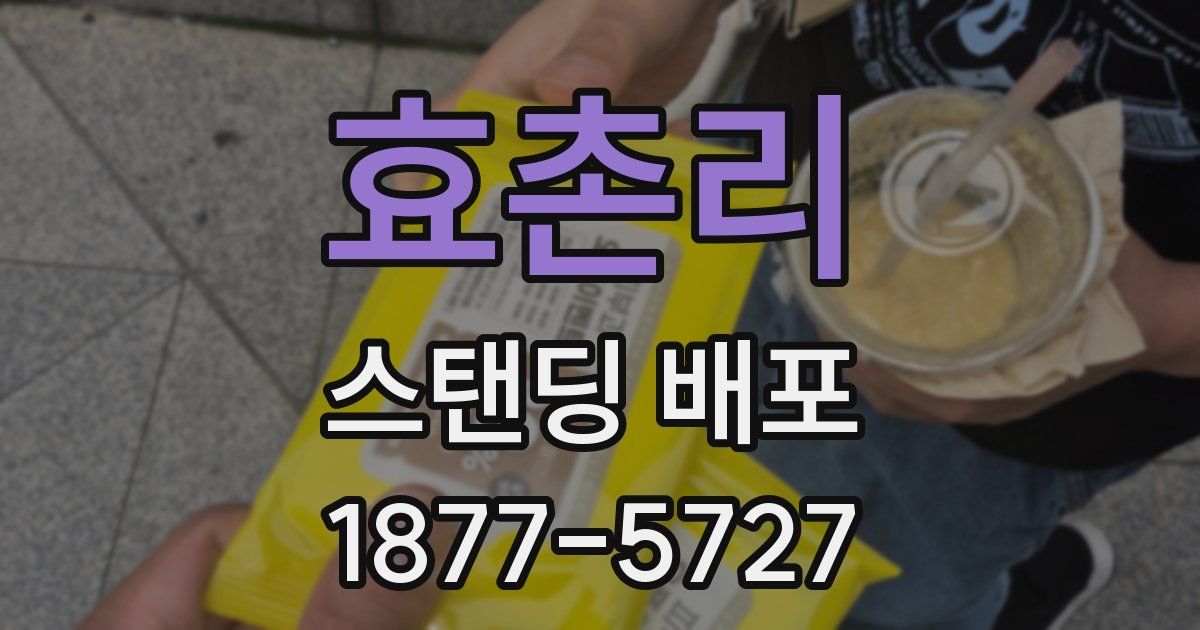 효촌리 스탠딩 배포