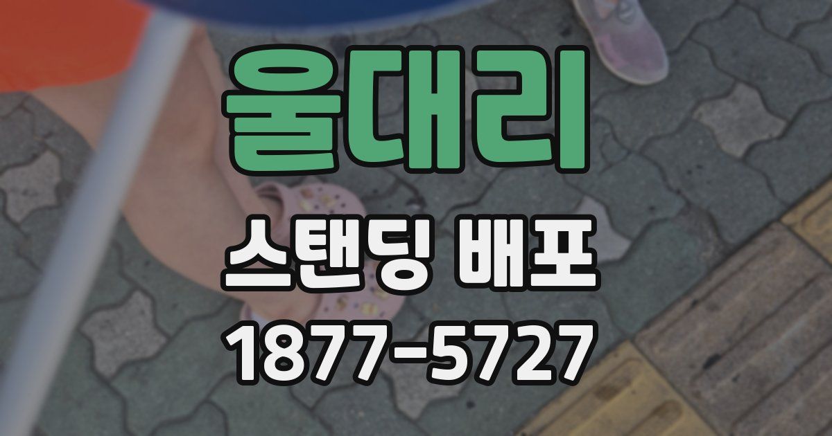 울대리 스탠딩 배포