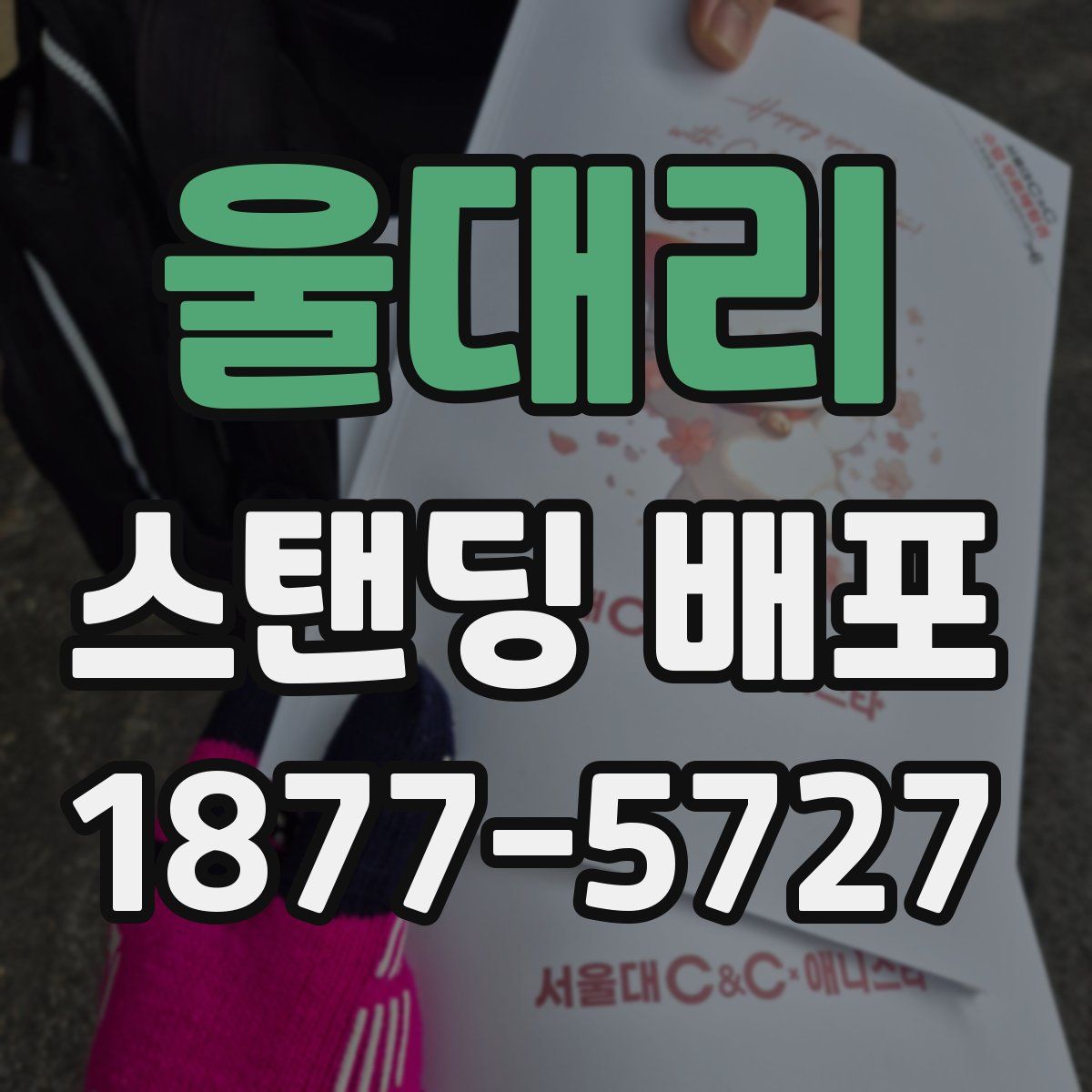 울대리 스탠딩 배포