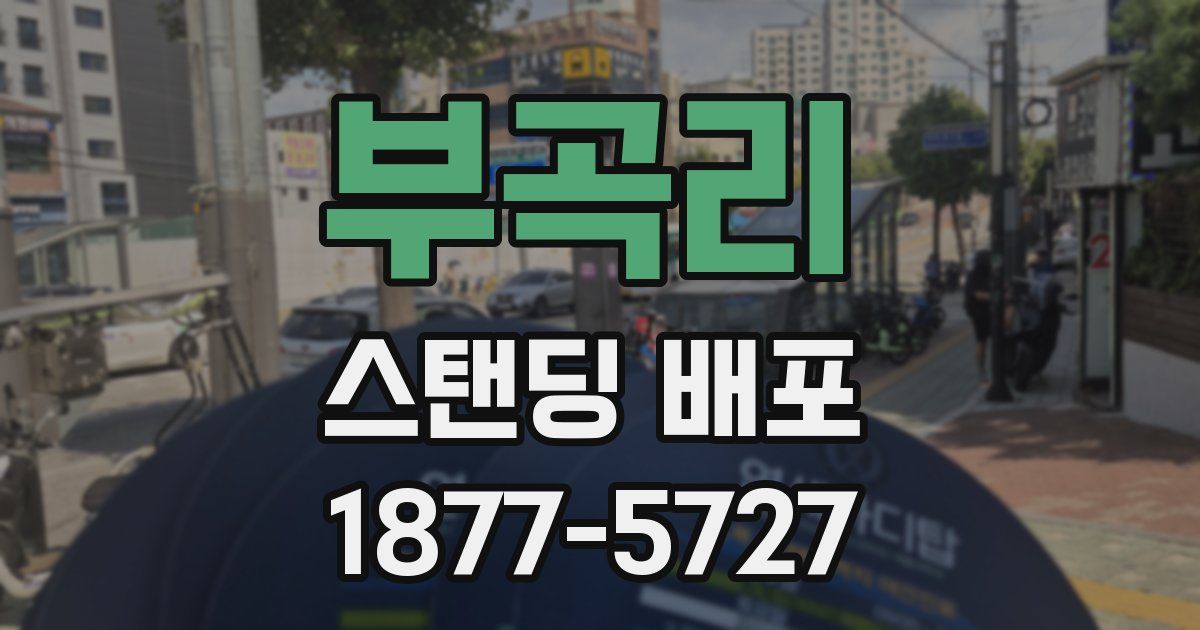 부곡리 스탠딩 배포