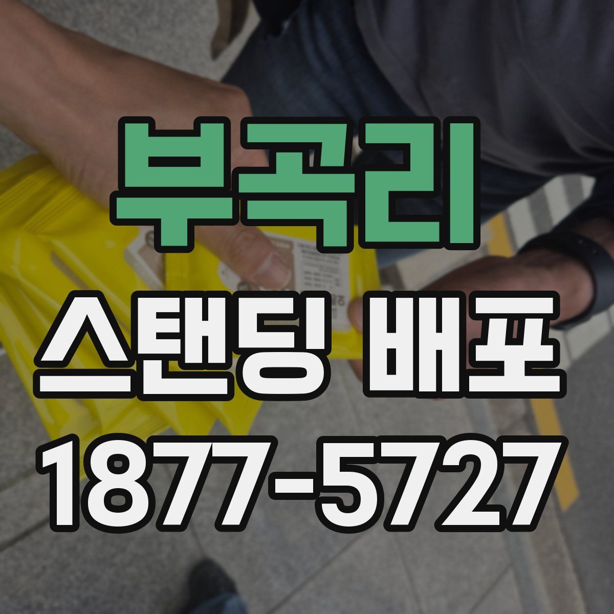 부곡리 스탠딩 배포