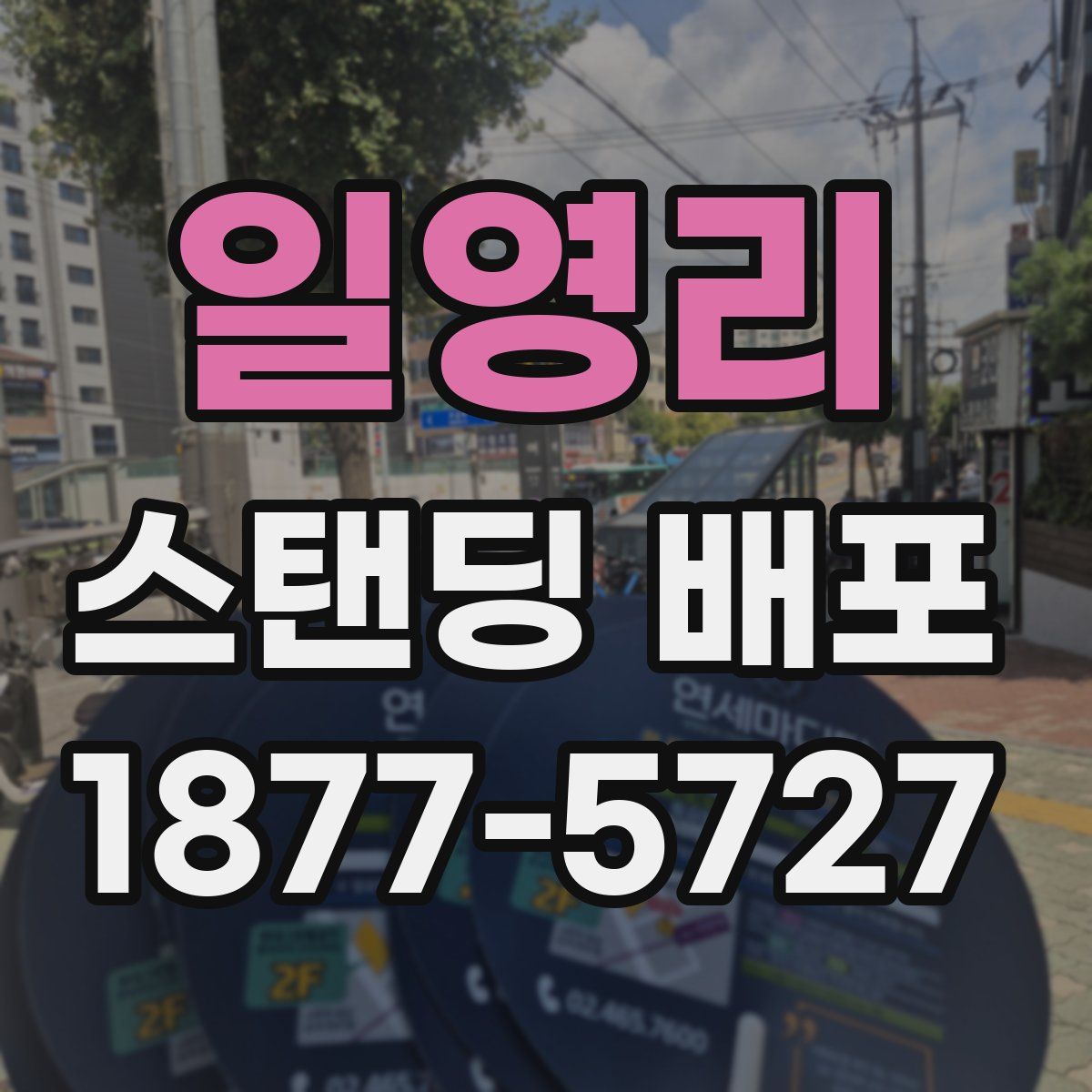 일영리 스탠딩 배포