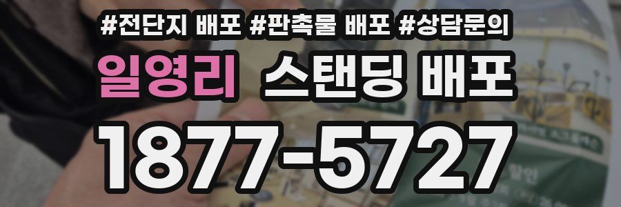 일영리 스탠딩 배포