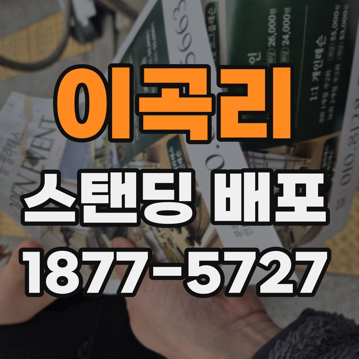 이곡리 스탠딩 배포