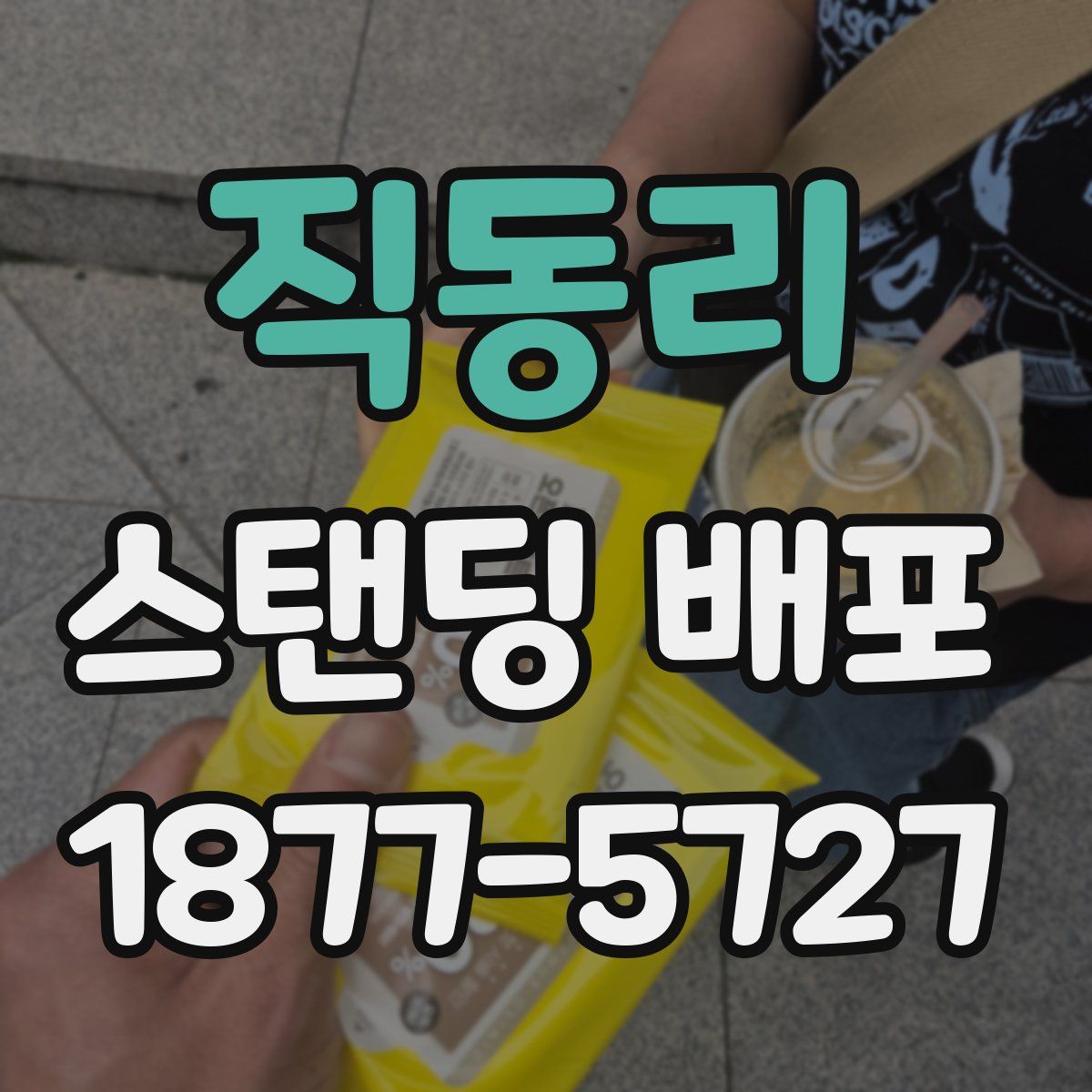 직동리 스탠딩 배포