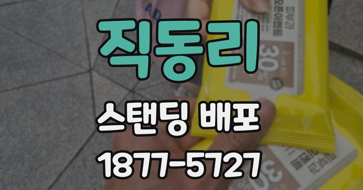 직동리 스탠딩 배포