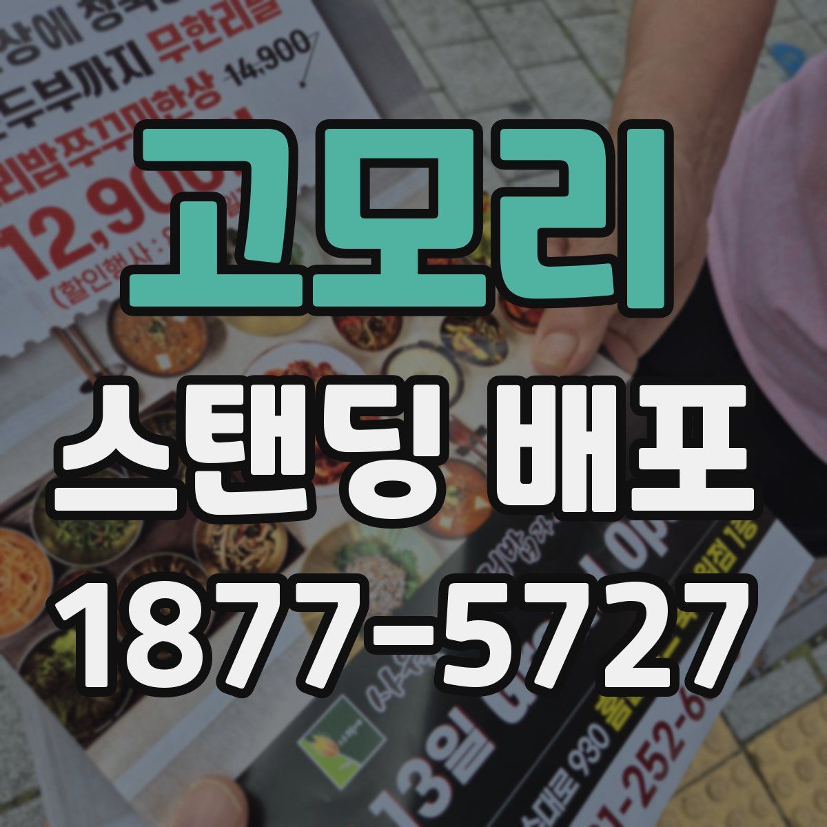 고모리 스탠딩 배포