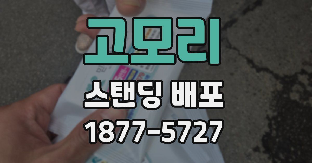 고모리 스탠딩 배포