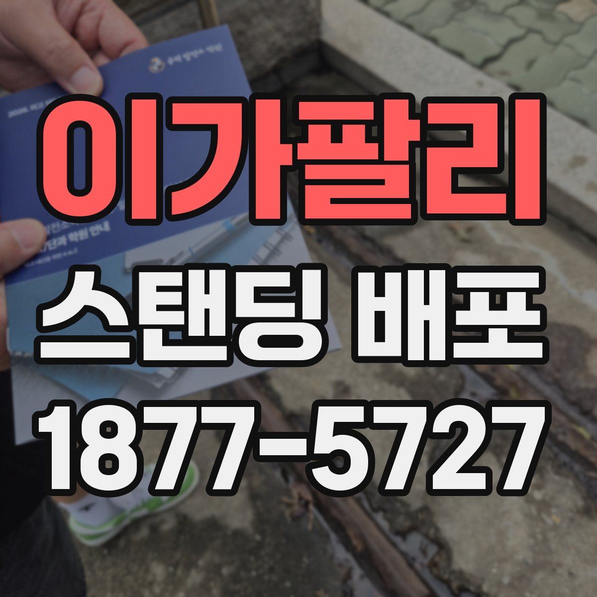 이가팔리 스탠딩 배포