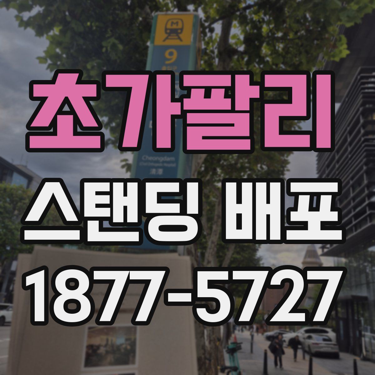 초가팔리 스탠딩 배포