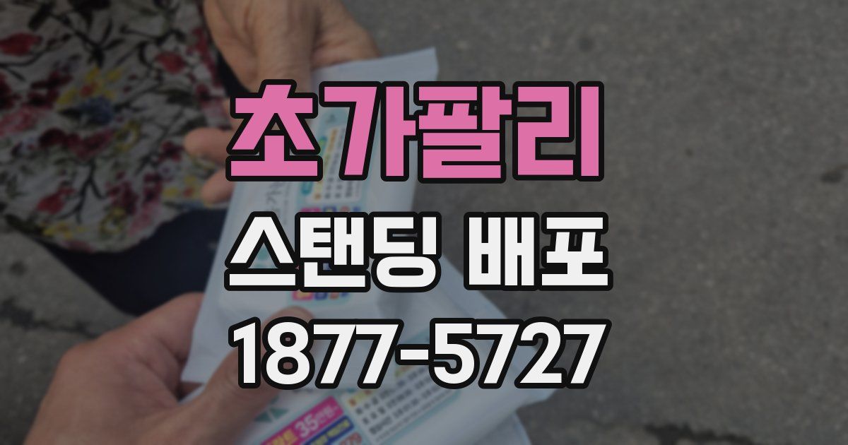 초가팔리 스탠딩 배포