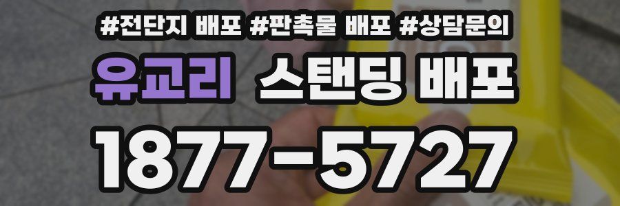 유교리 스탠딩 배포