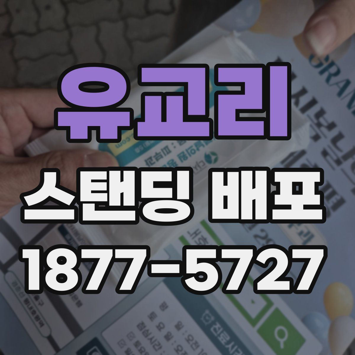 유교리 스탠딩 배포