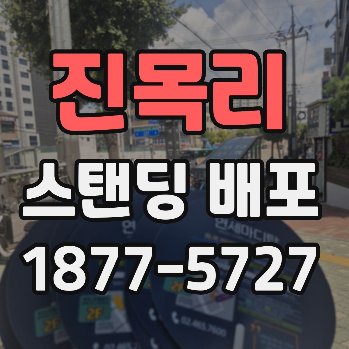 진목리 스탠딩 배포
