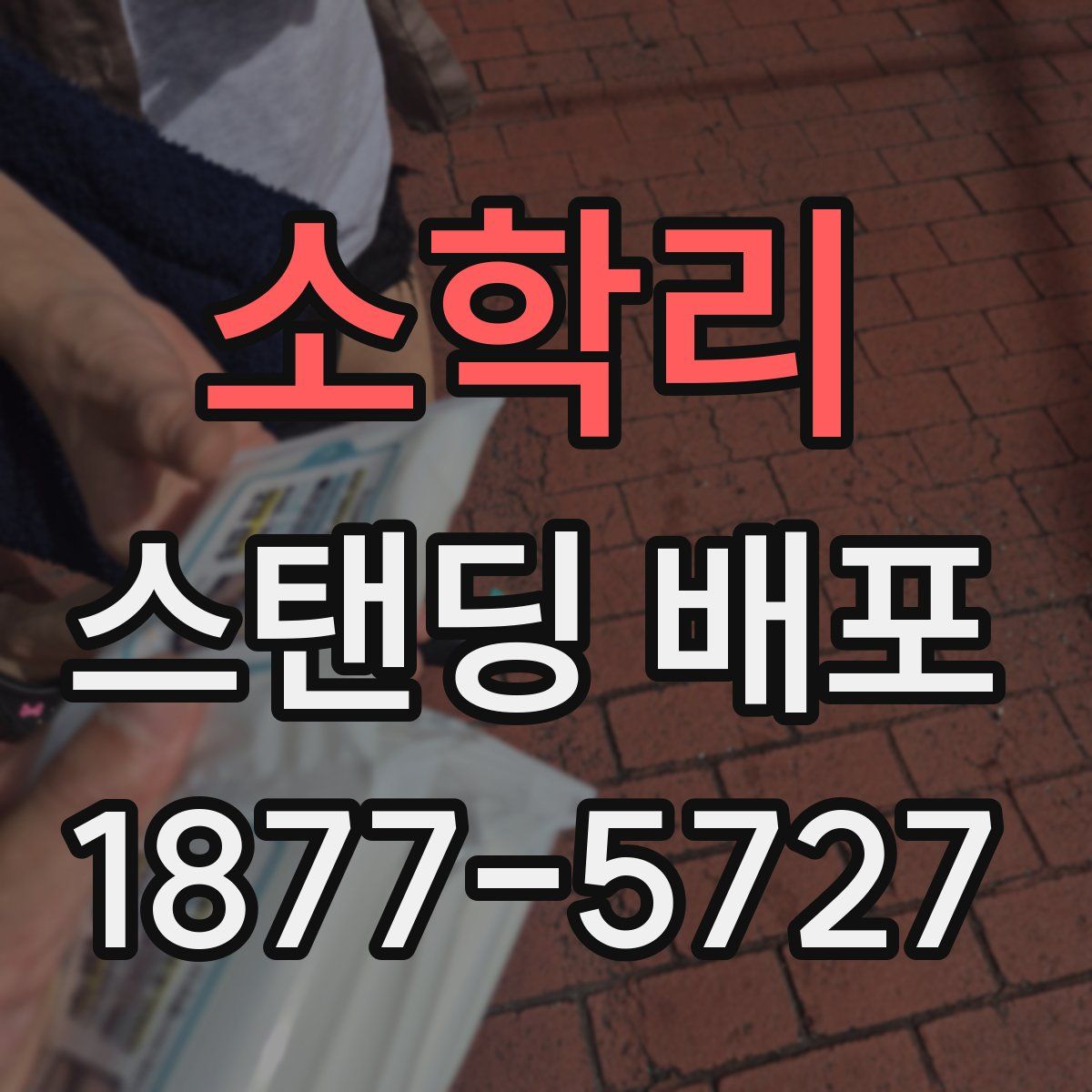 소학리 스탠딩 배포