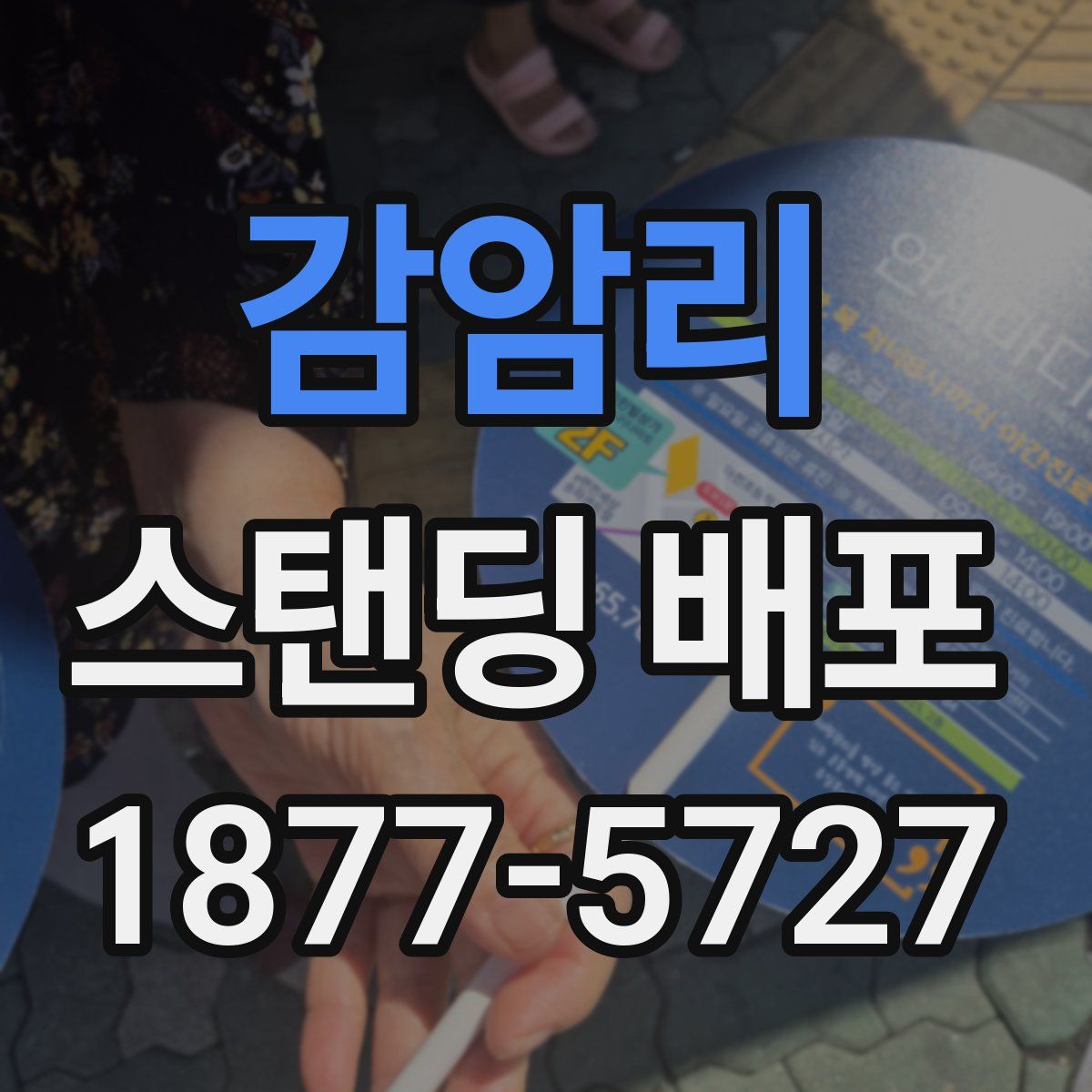 감암리 스탠딩 배포