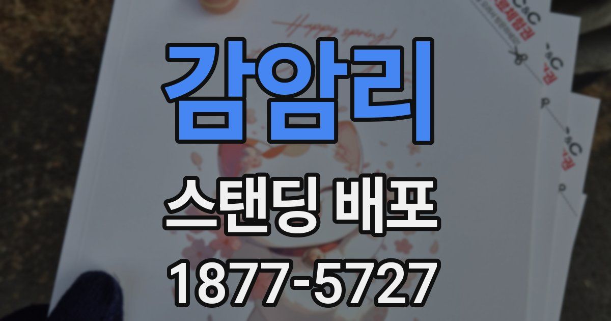 감암리 스탠딩 배포