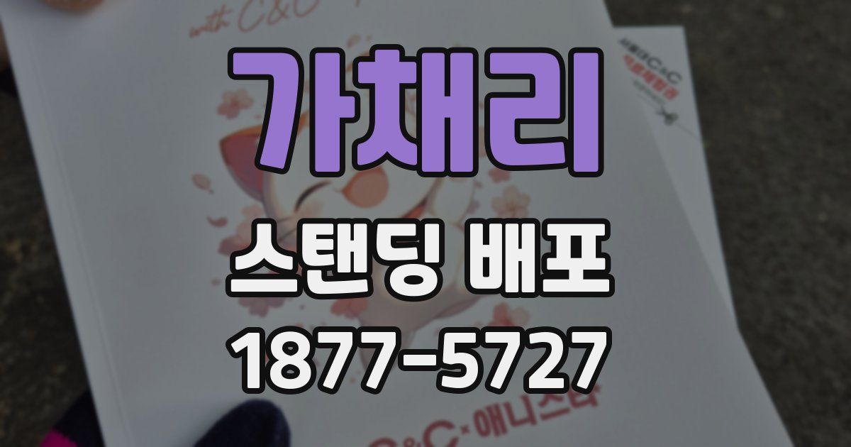 가채리 스탠딩 배포