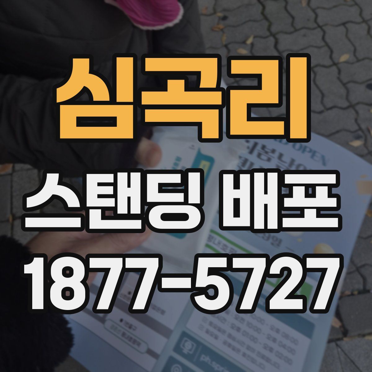 심곡리 스탠딩 배포