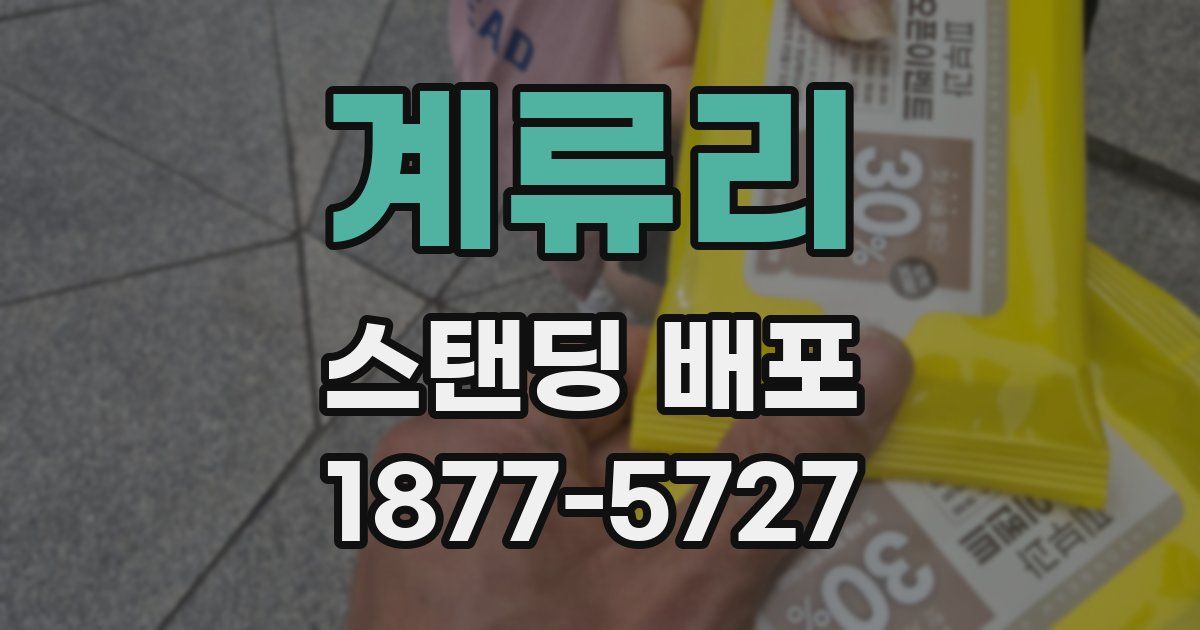계류리 스탠딩 배포