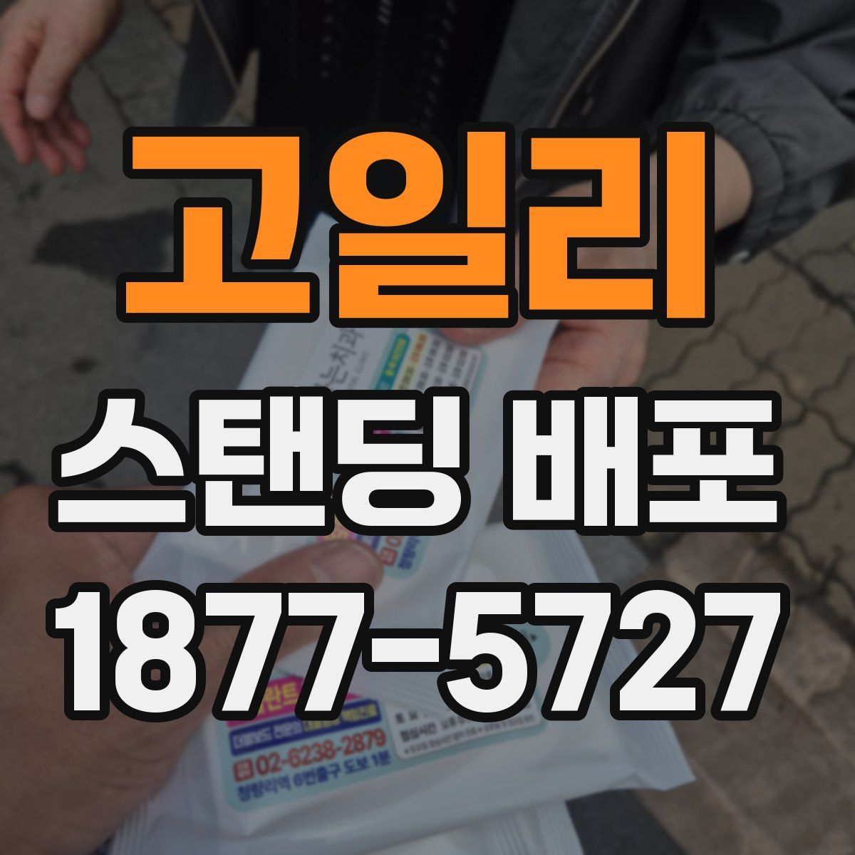 고일리 스탠딩 배포