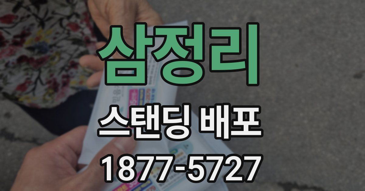 삼정리 스탠딩 배포