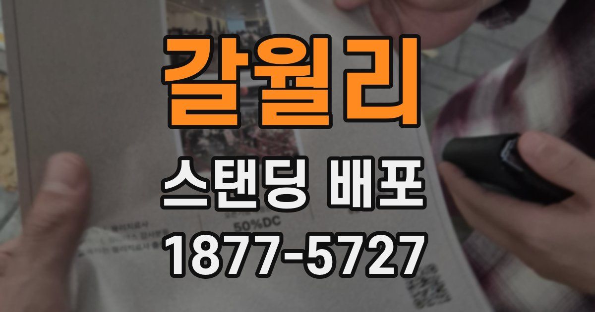 갈월리 스탠딩 배포
