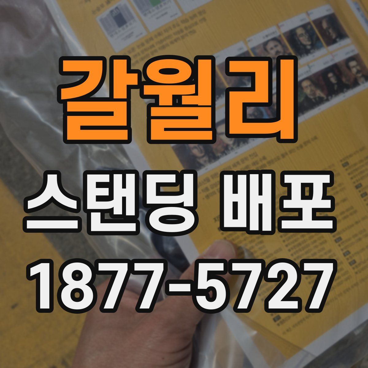 갈월리 스탠딩 배포
