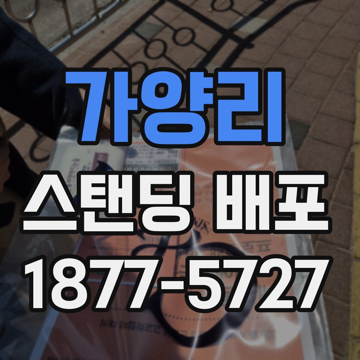 가양리 스탠딩 배포