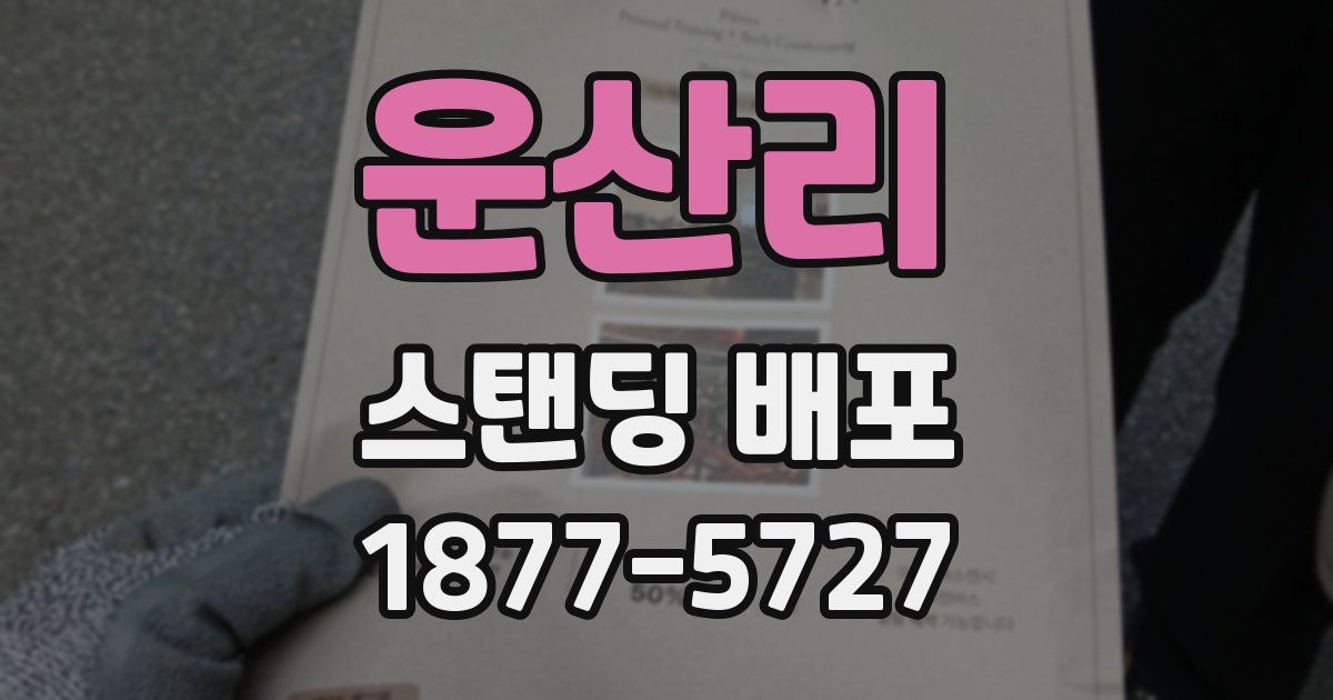 운산리 스탠딩 배포
