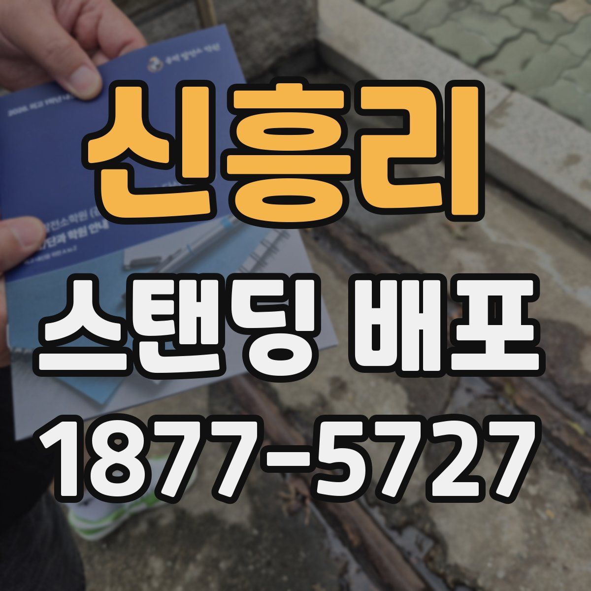 신흥리 스탠딩 배포