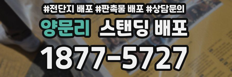 양문리 스탠딩 배포
