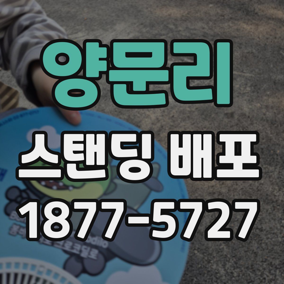 양문리 스탠딩 배포