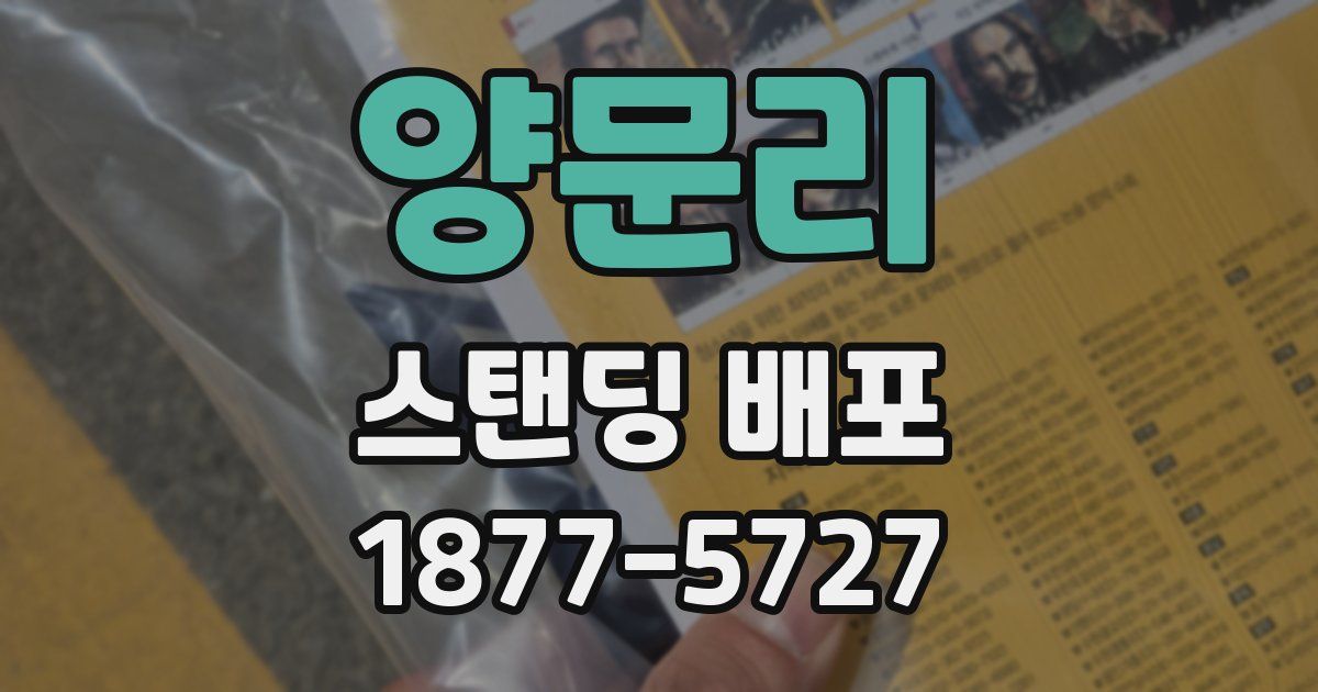 양문리 스탠딩 배포