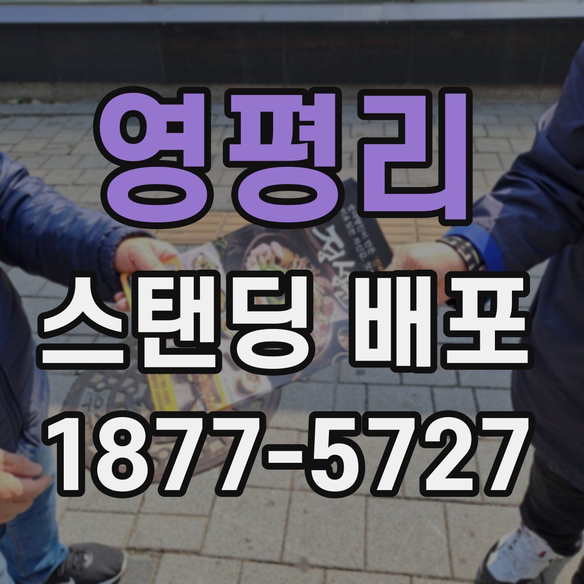 영평리 스탠딩 배포