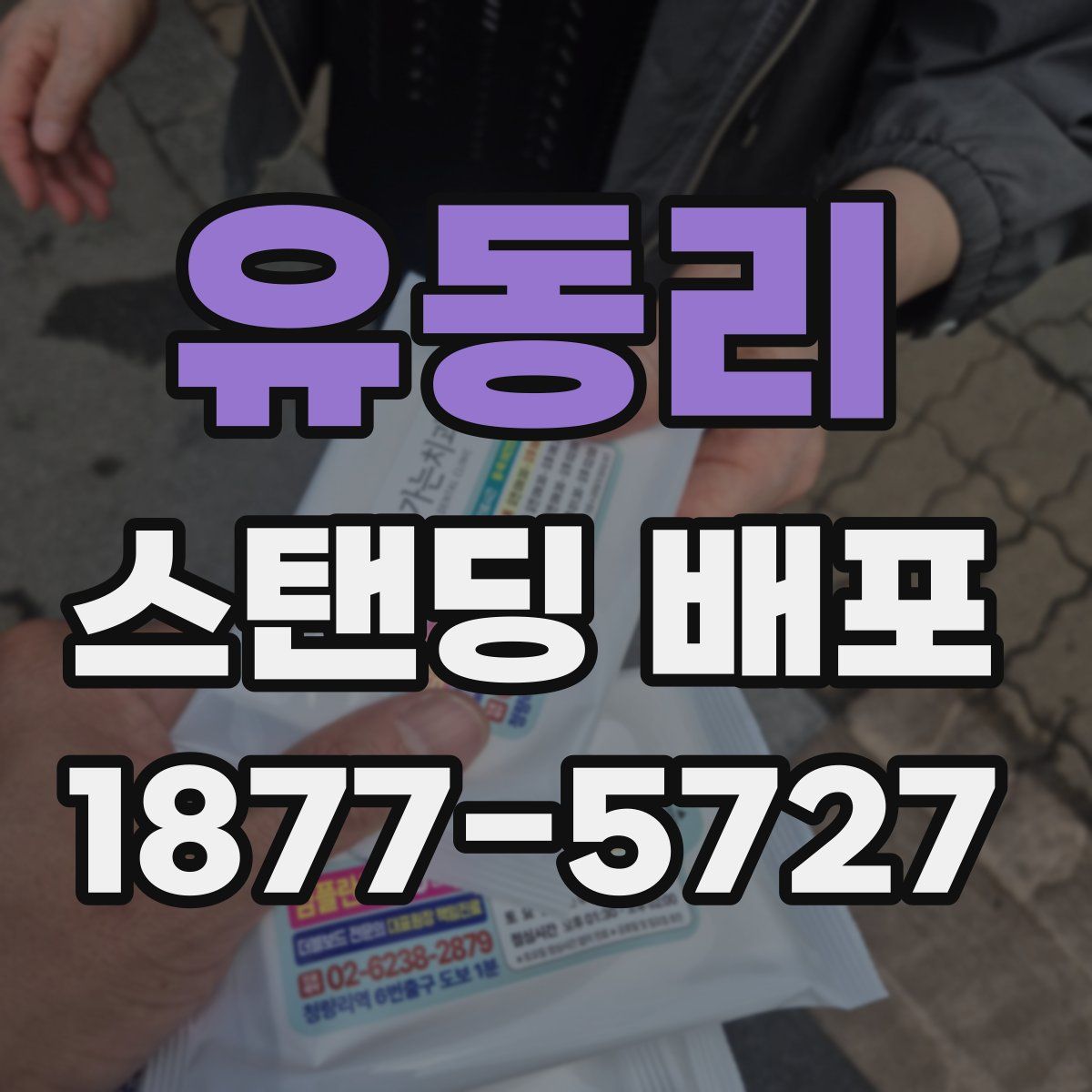 유동리 스탠딩 배포