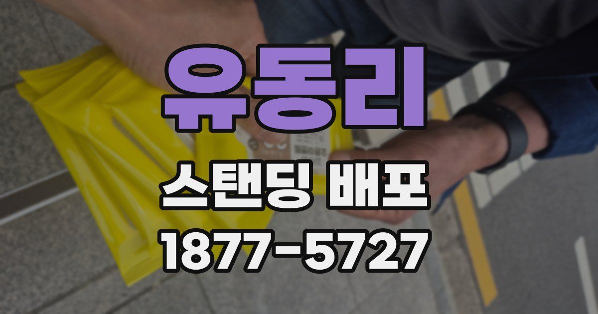 유동리 스탠딩 배포