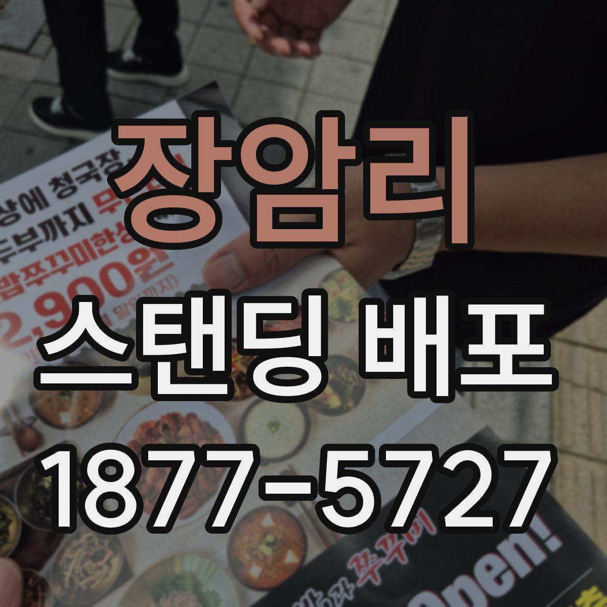 장암리 스탠딩 배포