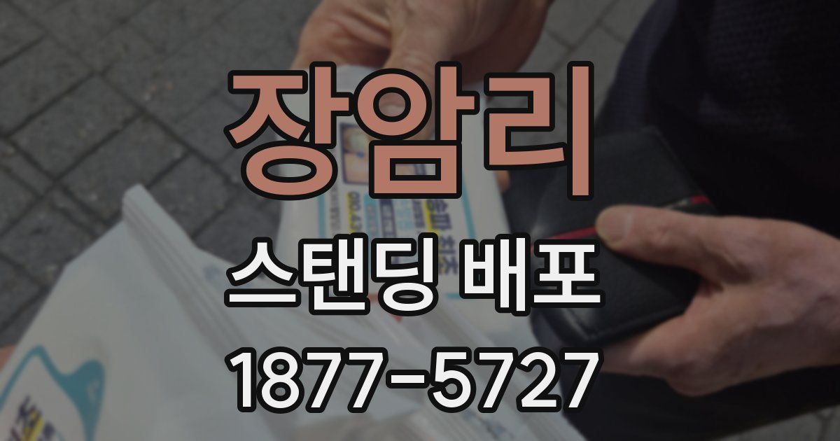 장암리 스탠딩 배포