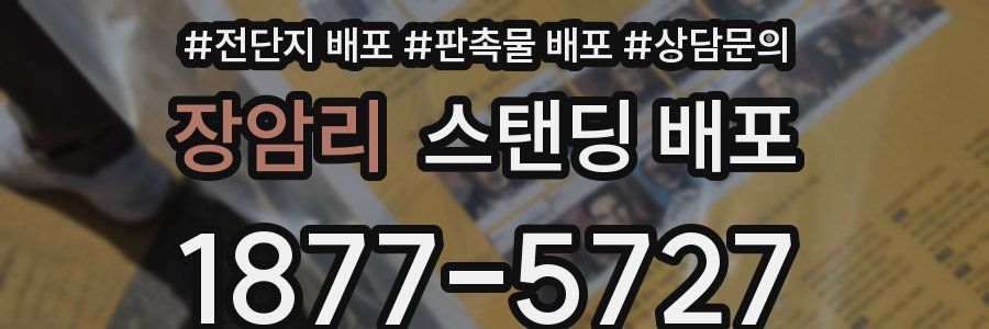 장암리 스탠딩 배포