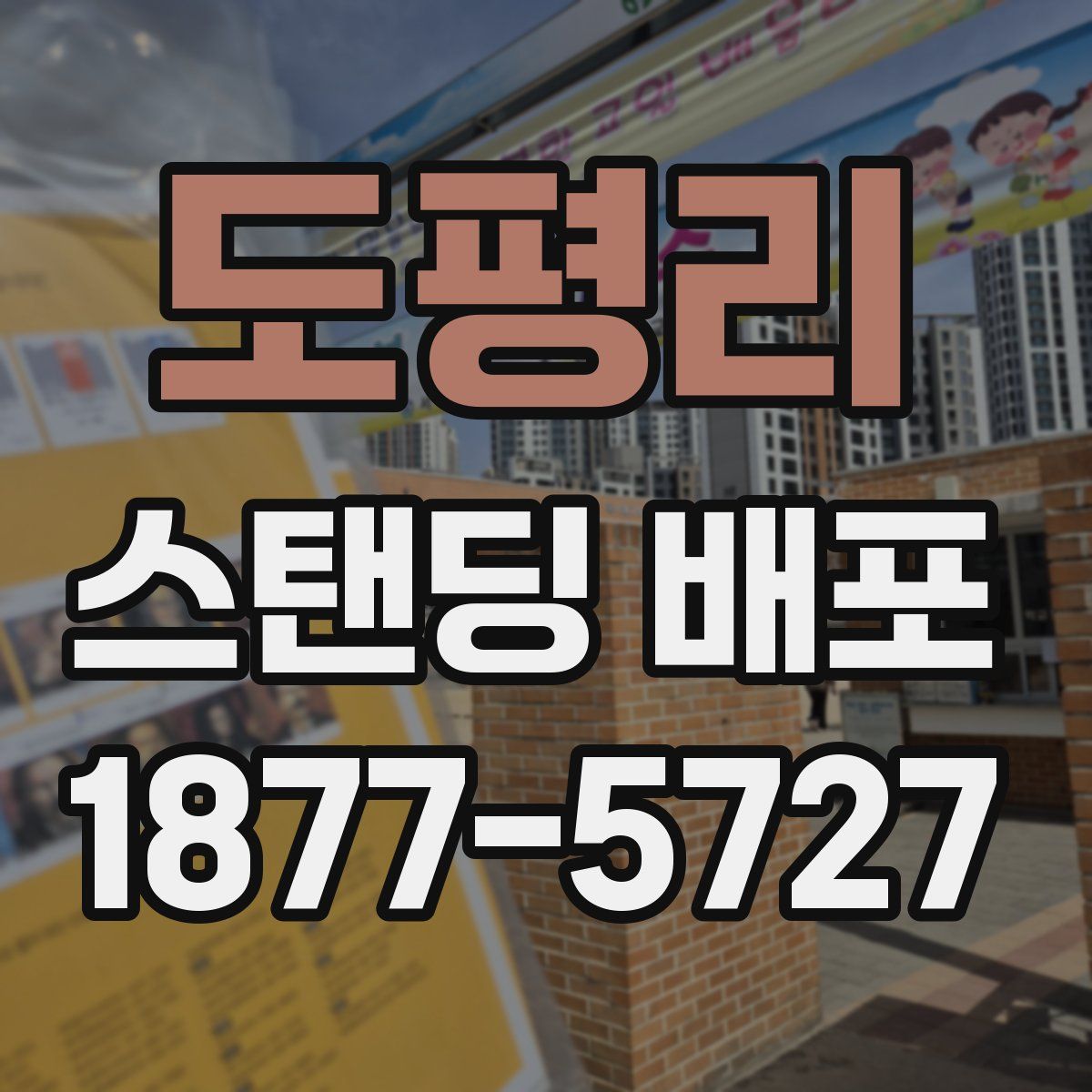 도평리 스탠딩 배포