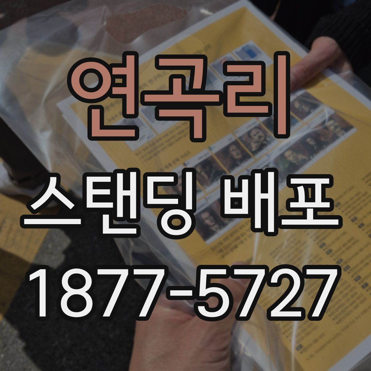 연곡리 스탠딩 배포