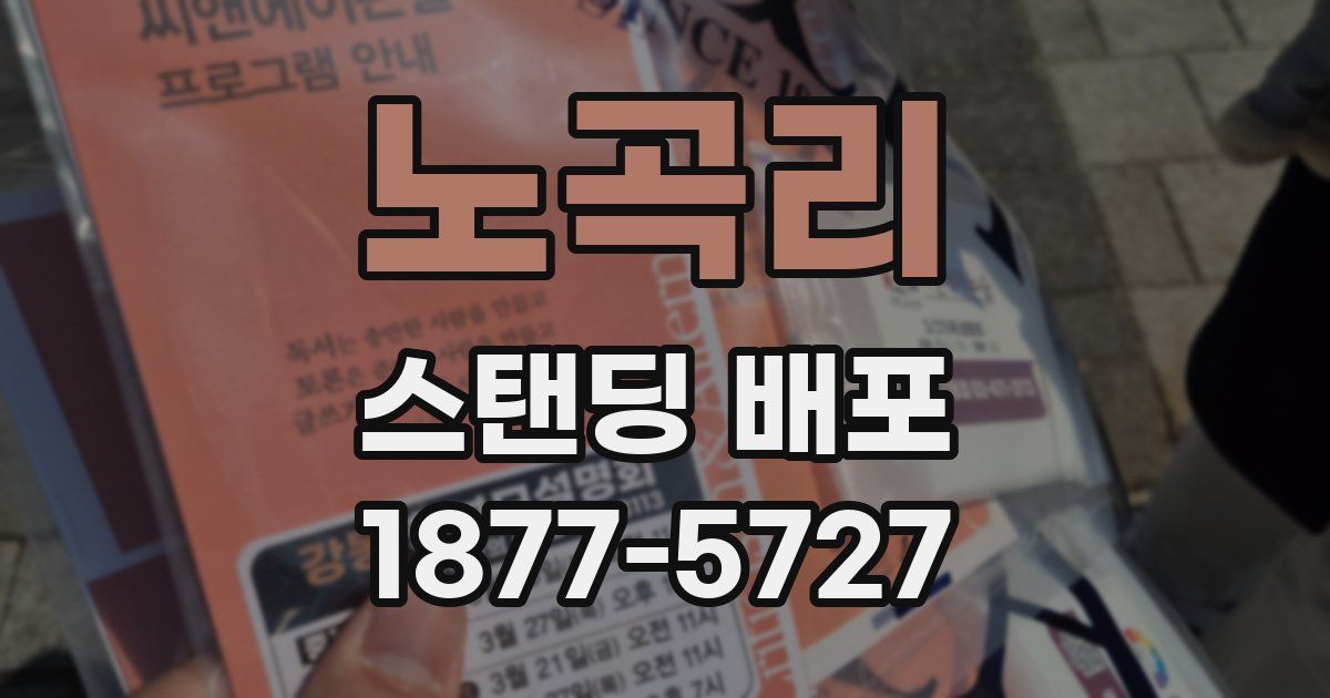 노곡리 스탠딩 배포